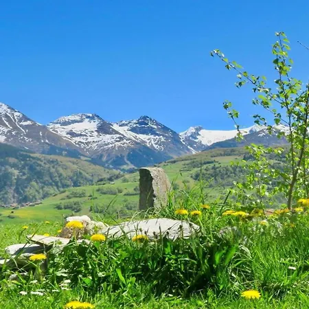 Segnas Mountain Apartment, Cleaning Included Appartement *