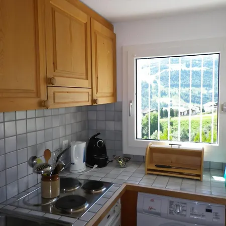 Segnas Mountain Apartment, Cleaning Included Apartman Mompetavetsch